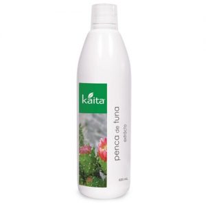 Mint with Inka Tea Delisse