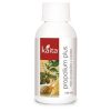 Mint with Inka Tea Delisse